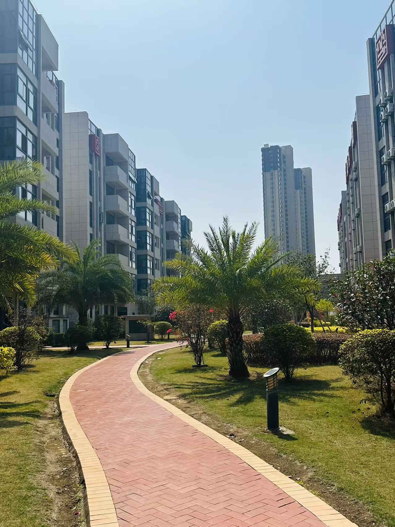 东方心今期马报彩图