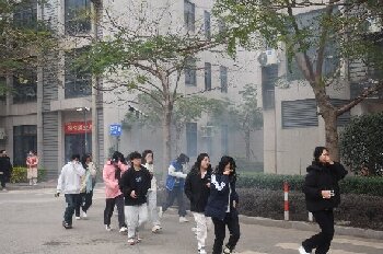 东方心今期马报彩图