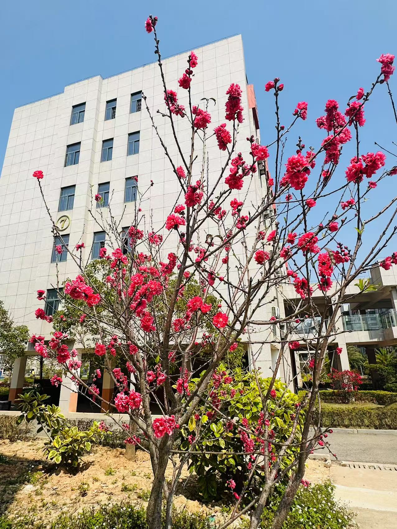 东方心今期马报彩图